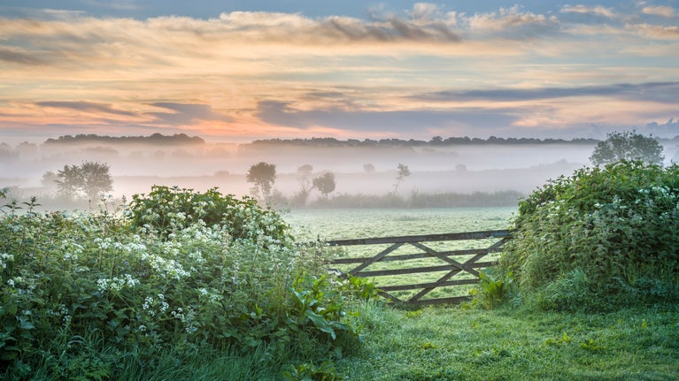 Mist rising over the fields beyond a wooden gate at Sissinghurst Castle Garden, Kent